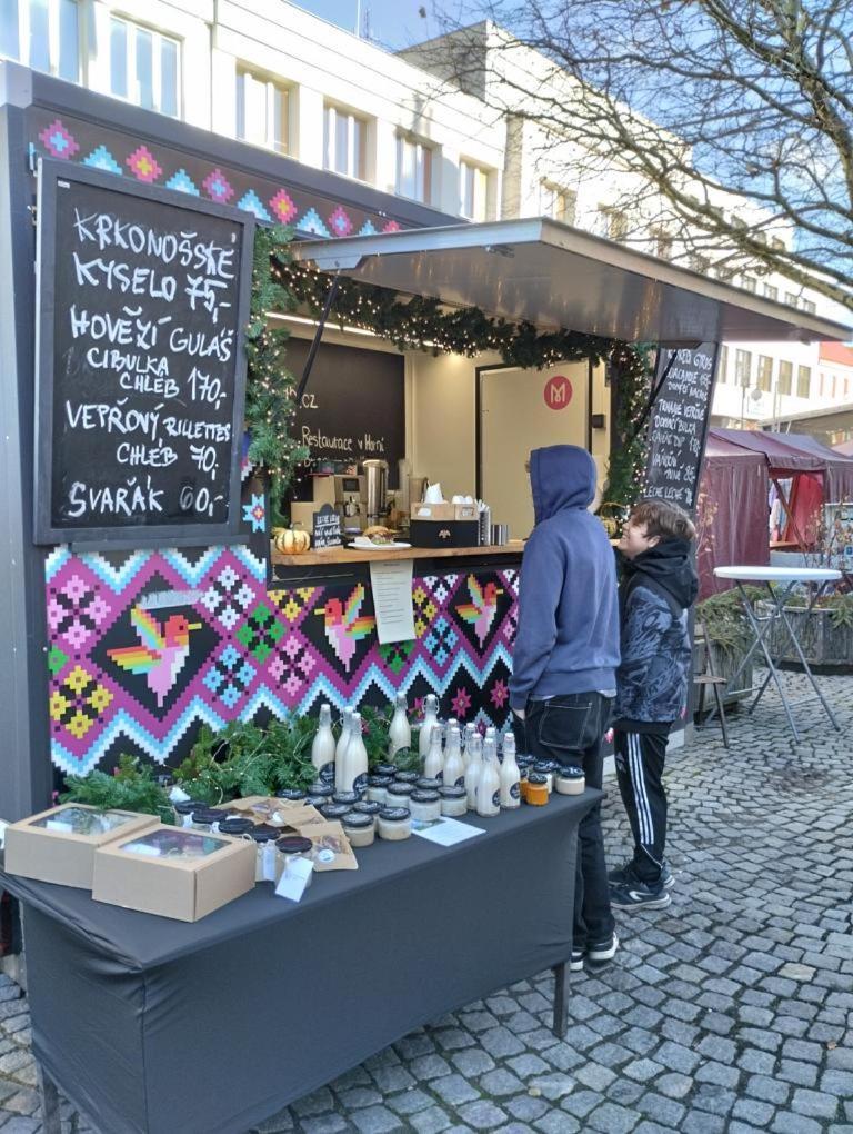 Na Kopecku Ad 1795 - Penzion S Restauraci A Wellness V Podkrkonosi Dvůr Králové nad Labem Eksteriør billede